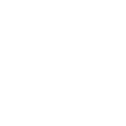 Technology integration